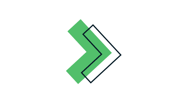 Project manager image